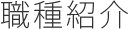 職種紹介